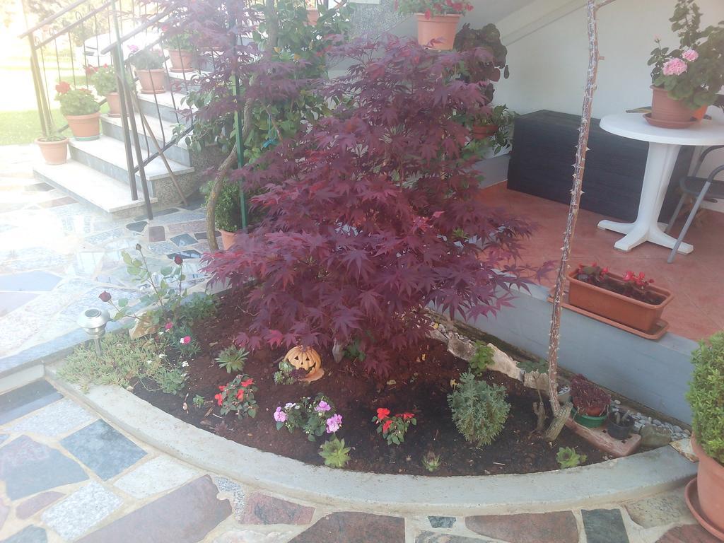 Apartment Gogo Umag Luaran gambar